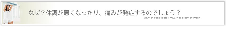 骨盤養整技法とは根本療法